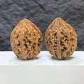 Pair of Classic Scholar Wenwan Walnuts from Wenwan Art, hand-matched, 42mm x 43mm, featuring smooth, polished 大沽石 stones.