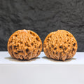 【收藏級】獅虎獸 文玩核桃 (4.7 × 4.4cm) | [Collector's Grade] Liger Walnut (4.7 × 4.4cm) - SKU: SHS-1Z0