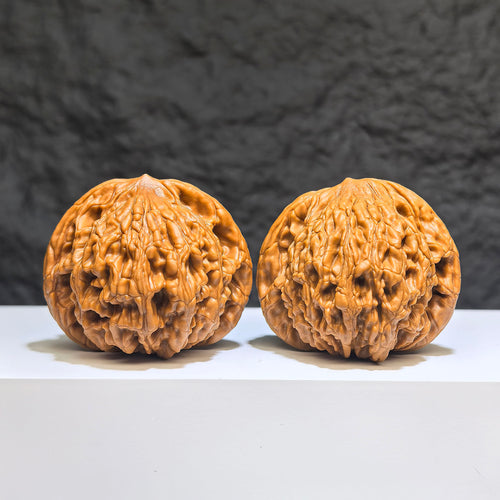 Pair of ZenWenwan Classic Scholar Wenwan walnuts, hand-matched with lion and tiger motifs, 47mm x 44mm, detailed carved designs.