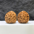 【收藏級】水龍紋 文玩核桃 (3.9 × 4.1cm) | [Collector's Grade] Water Dragon Texture Walnut (3.9 × 4.1cm) - SKU: SLW-1C2
