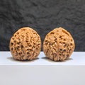 【收藏級】桃心凹底南疆石 文玩核桃 (3.9 × 4.1cm) | [Collector's Grade] Peach Heart Concave Base Nanjiangstone Walnut (3.9 × 4.1cm) - SKU: TXBDNJS-1Z3