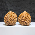 Large Wenwan Walnut pair from Wenwan Art, official premium Big Wenwan Walnuts, 49mm x 46mm, showcasing detailed natural wood grain.