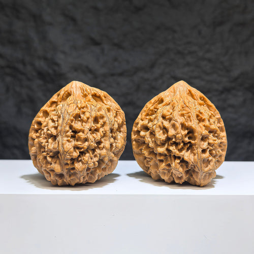 Large Wenwan Walnut pair from Wenwan Art, official premium Big Wenwan Walnuts, 49mm x 46mm, showcasing detailed natural wood grain.