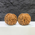 Pair of Sizuolou Classic Wenwan Walnuts by Wenwan Art, 42mm x 38mm, featuring smooth, polished walnut carvings.