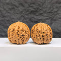 Miniature Wenwan Walnut pair from Wenwan Art, 34mm x 33mm, featuring intricate Yuhua stone details and natural walnut shape.