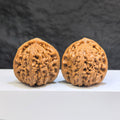 Pair of Nanjiangstone Wenwan walnuts by Wenwan Art, 38mm size, showcasing smooth, polished natural stone walnuts.