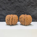 【精選級】平谷元寶 文玩核桃 (3.5 × 3.9cm) | [Selected Grade] Pinggu Sycee Walnut (3.5 × 3.9cm) - SKU: PGYB-1S2