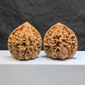 Pair of Wenwan Art Classic Scholar hand-matched Wenwan walnuts with peach heart and qilin patterns, 47mm x 43mm.