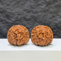 【收藏級】瓷娃娃 文玩核桃 (3.8 × 3.8cm) | [Collector's Grade] Porcelain Doll Walnut (3.8 × 3.8cm) - SKU: CWW-1C6