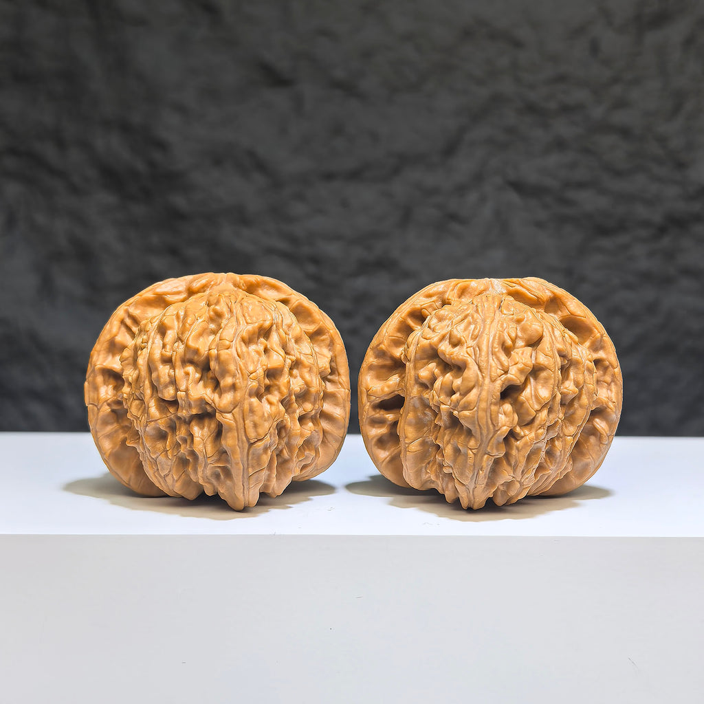 【收藏級】球形白獅子 文玩核桃 (4.3 × 4.2cm) | [Collector's Grade] Spherical White Lion Walnut (4.3 × 4.2cm) - SKU: QXBSZ-1Z2