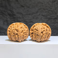 【收藏級】球形白獅子 文玩核桃 (4.3 × 4.2cm) | [Collector's Grade] Spherical White Lion Walnut (4.3 × 4.2cm) - SKU: QXBSZ-1Z2