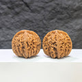 Pair of Sizuolou Wenwan Walnuts by Wenwan Art, 39mm x 37mm, showcasing detailed carved walnut art on a neutral background.