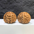 【收藏級】三角白獅子 文玩核桃 (4.4 × 4.3cm) | [Collector's Grade] Tri-Angular White Lion Walnut (4.4 × 4.3cm) - SKU: BSZ-1A2