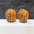Pair of Pinggu Golden Hammer Wenwan walnuts from Wenwan Art, 39mm x 41mm, showcasing the classic golden walnut craftsmanship.
