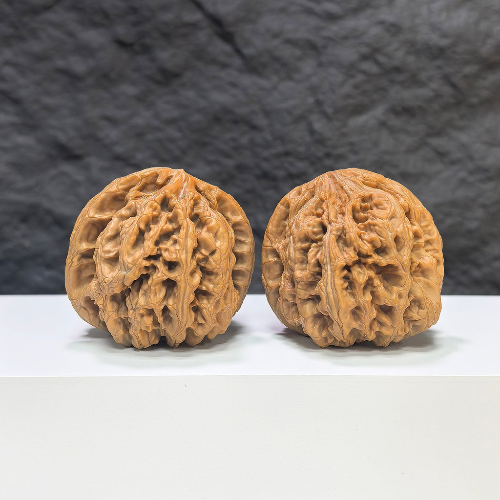 【精選級】大粗筋 文玩核桃 (4.6 × 4.6cm) | [Selected Grade] Large Thick Rib Walnut (4.6 × 4.6cm) - SKU: DCJ-1S9