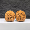 Pair of Wenwan Walnut miniature stones from Wenwan Art, 34mm x 32mm, featuring intricate Yuhua Stone patterns.