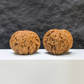 【收藏級】华坤龙 文玩核桃 (4.9 × 4.7cm) | [Collector's Grade] Huakun Dragon Walnut (4.9 × 4.7cm) - SKU: HKL-1B4
