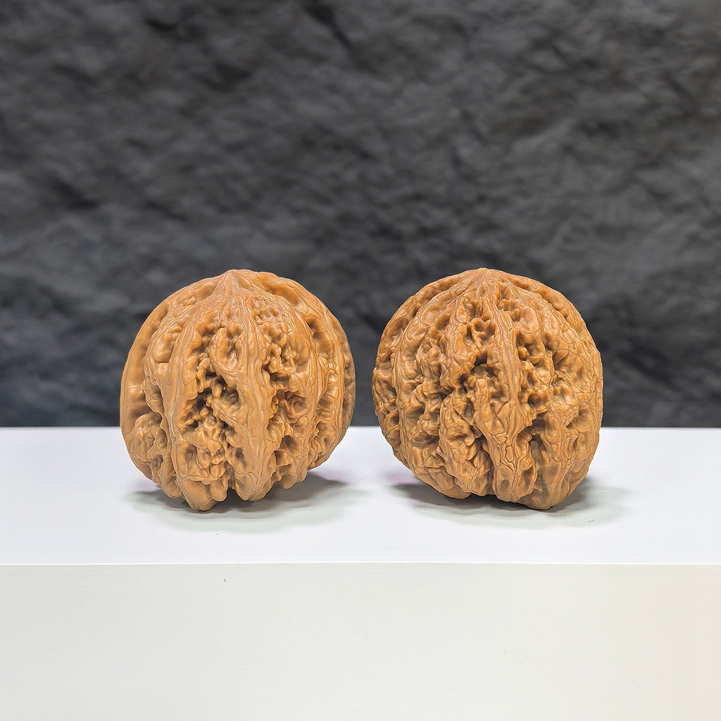 【精選級】粗筋 文玩核桃 (3.6 × 3.6cm) | [Selected Grade] Thick Rib Walnut (3.6 × 3.6cm) - SKU: CJ-1S8
