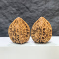 Pair of Beijing Chicken Heart Wenwan walnuts from Wenwan Art, 41mm, showcasing detailed natural walnut textures and rich color.
