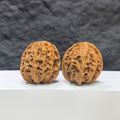 Pair of "Apple Garden" Wenwan Walnuts by Wenwan Art, 36mm size, showing detailed natural walnut carvings and smooth surfaces.