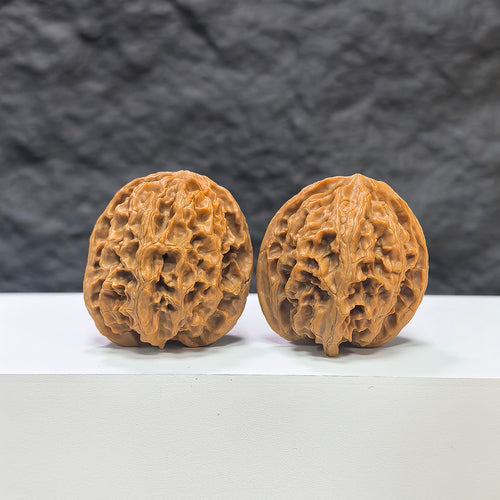 Pair of "Apple Garden" Wenwan Walnuts by Wenwan Art, 36mm size, showing detailed natural walnut carvings and smooth surfaces.
