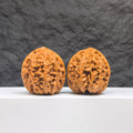 Selected grade Wenwan Bison Walnut, 3.5×3.3cm, showing detailed natural wood grain and craftsmanship from Wenwan Art.