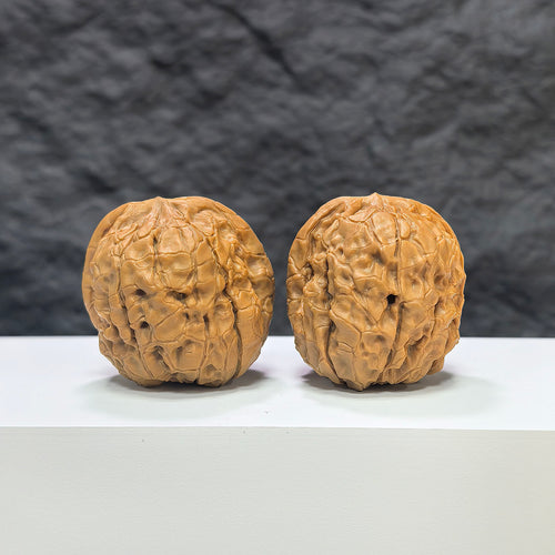 Pair of Classic Scholar Wenwan walnuts by Wenwan Art, hand-matched 39mm diameter, featuring intricate carvings and smooth surfaces.