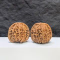 Selected grade Sizuolou Wenwan walnut measuring 4.2x3.9cm, showcasing smooth texture and rich natural wood grain, from Wenwan Art.