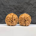Pair of Hundred Beasts Lion Head Wenwan walnuts by Wenwan Art, featuring detailed carved lion head designs, 38mm size.