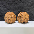 【收藏級】野狼 文玩核桃 (4.0 × 4.0cm) | [Collector's Grade] Wild Wolf Walnut (4.0 × 4.0cm) - SKU: YN-1A3