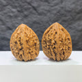 Pair of Beijing Chicken Heart Wenwan walnuts from Wenwan Art, 39mm, featuring detailed natural walnut textures and smooth surfaces.