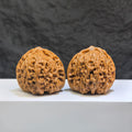 Pair of Classic Scholar Wenwan Walnuts by Wenwan Art, 42mm, hand-matched, triangular concave bottom South Xinjiang stone.