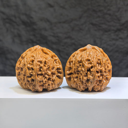 Pair of Classic Scholar Wenwan Walnuts by Wenwan Art, 42mm, hand-matched, triangular concave bottom South Xinjiang stone.