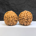 Pair of Nanjiangstone Wenwan walnuts from Wenwan Art, 41mm x 40mm, featuring smooth, polished stone surfaces with natural patterns.