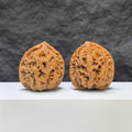 【收藏級】水龍紋 文玩核桃 (3.9 × 4.0cm) | [Collector's Grade] Water Dragon Texture Walnut (3.9 × 4.0cm) - SKU: SLW-1B6