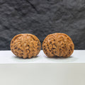 Pair of Classic Scholar Wenwan Walnuts by Wenwan Art, hand-matched with 43mm and 38mm sizes, shown in natural close-up.