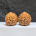 【收藏級】水龍紋 文玩核桃 (4.0 × 4.0cm) | [Collector's Grade] Water Dragon Texture Walnut (4.0 × 4.0cm) - SKU: SLW-1Z8