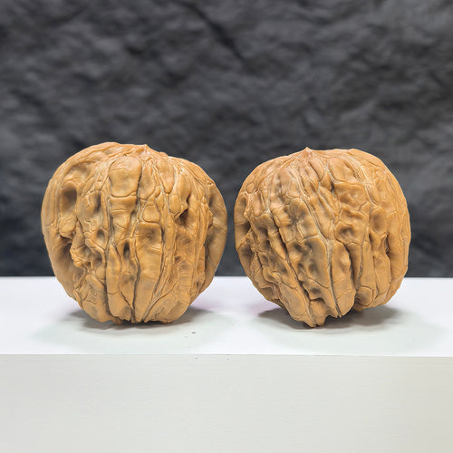 Pair of Wenwan Art Classic Scholar hand-matched Wenwan walnuts, 44mm x 46mm, showcasing detailed carved designs and natural walnut color.