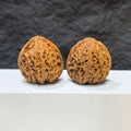 Wenwan Art selected grade Tri-Angular Nanjiangstone walnut, 3.9cm x 3.8cm, showcasing smooth surface and unique natural patterns.