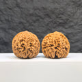 Pair of Babys Breath Full Stars Wenwan Walnuts by Wenwan Art, 38mm x 37mm, featuring intricate star patterns on smooth walnut surfaces.