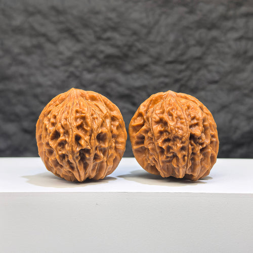 Pair of Wenwan Art Dragon Scale Wenwan walnuts, 36mm, with detailed textured surface and natural wood grain pattern.