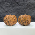 Pair of Classic Scholar Wenwan Walnuts by Wenwan Art, hand-matched, 41mm x 39mm, showing detailed carved surfaces.