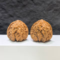 【收藏級】九龍峪桃心 文玩核桃 (3.9 × 3.9cm) | [Collector's Grade] Jiulongyu Peach Heart Walnut (3.9 × 3.9cm) - SKU: TXJLY-1A8