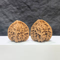 Pair of Xiayunling Wenwan walnuts from Wenwan Art, 43mm x 41mm, featuring smooth, polished walnut shells with natural wood grain.
