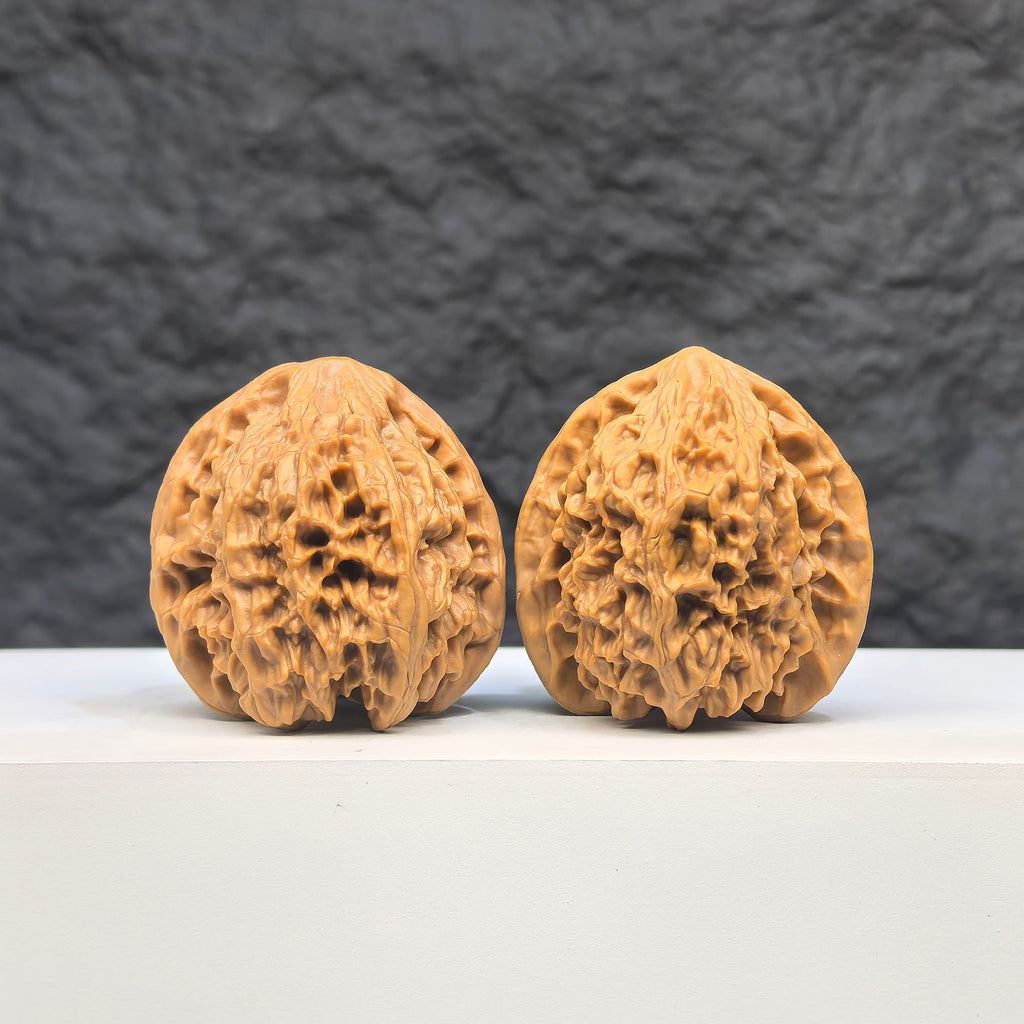 Selected grade Wild Bison Walnut from Wenwan Art, 3.8×3.6cm, showcasing smooth, polished Wenwan walnut for collection or display.