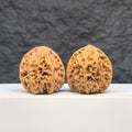 Selected grade Wild Bison Walnut from Wenwan Art, 3.8×3.6cm, showcasing smooth, polished Wenwan walnut for collection or display.