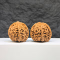 Pair of Wenwan Art Babys Breath Full Stars Wenwan walnuts with intricate star patterns, 38mm x 37mm, showcasing detailed craftsmanship.