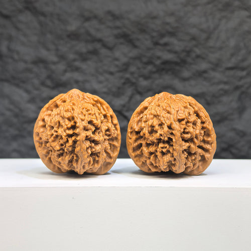Pair of Wenwan Art Babys Breath Full Stars Wenwan walnuts with intricate star patterns, 38mm x 37mm, showcasing detailed craftsmanship.