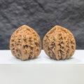 Pair of Xiayunling Peach Heart Concave Base Wenwan walnuts from Wenwan Art, showing deep-base design and natural walnut texture.