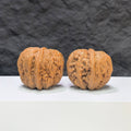 【精選級】平谷元寶 文玩核桃 (3.6 × 3.9cm) | [Selected Grade] Pinggu Sycee Walnut (3.6 × 3.9cm) - SKU: PGYB-1S1